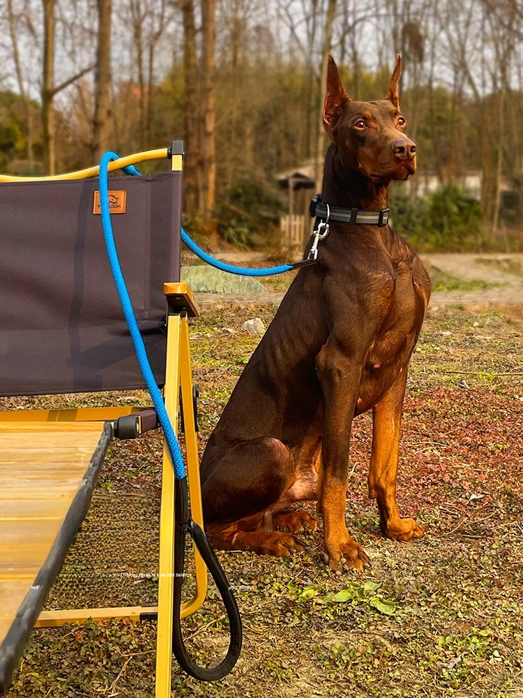 防爆仕様の犬用リード：衝撃耐性と脱走防止が実現される実用性の証