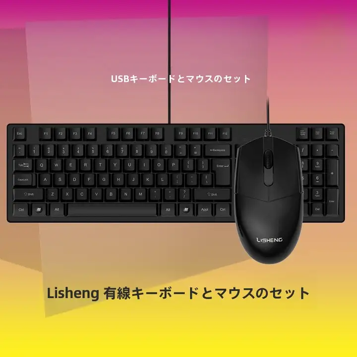 LEISON KB1008 有線USBキーボードマウスセット【オフィス・ゲーム用・ノートパソコン・デスクトップ対応】