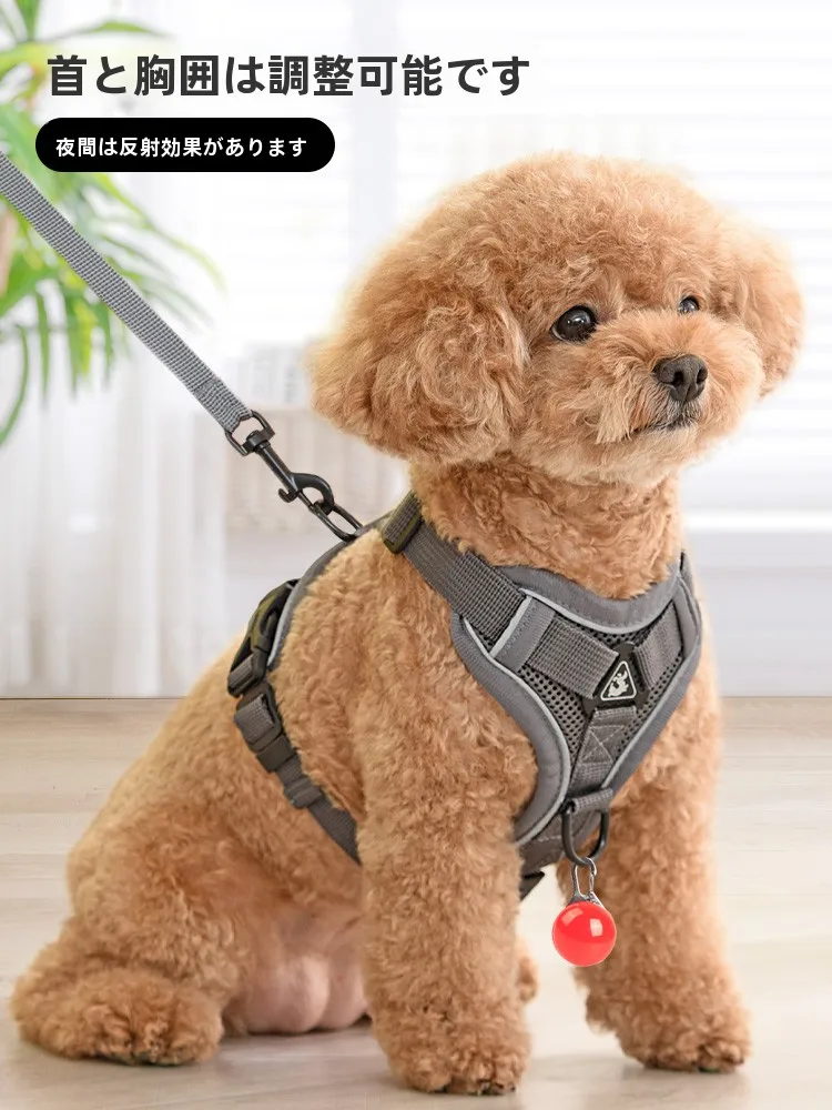 犬のお散歩グッズをコスパ良く揃える方法｜通気性と反射機能の選び方を徹底解説