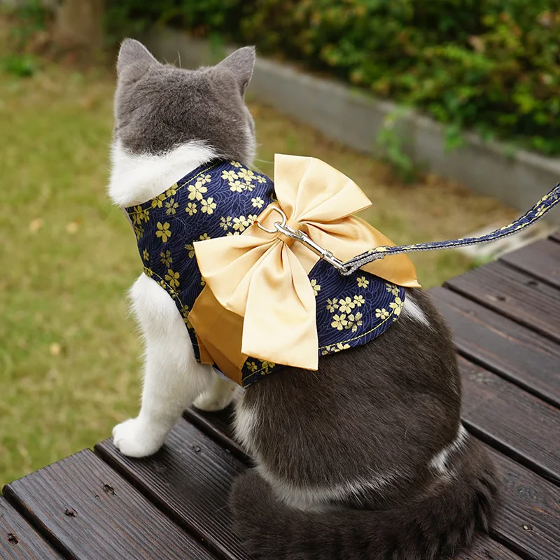 かわいいハーネスを選ぶときに迷うなら、この1つのスタイルが答えになる？