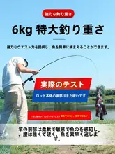 カーボン製釣竿【ソフトテール・岸辺用・遠投・海釣り対応・多機能】（セットアップ対応）