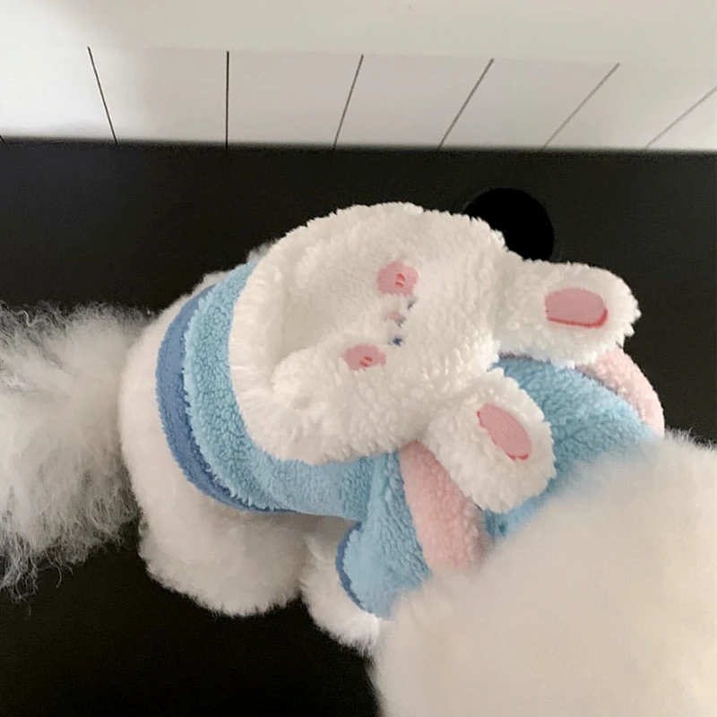 ペットの冬をもっと温かくするには？犬用セーターの選び方と実際の使い方