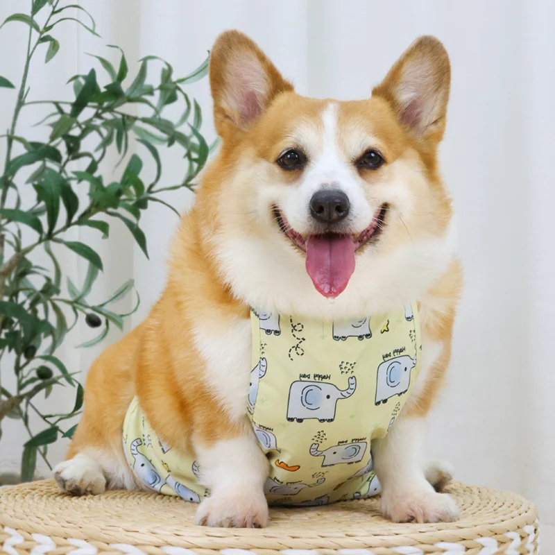 災害時にも安心できる犬の「腹巻き」は、どう選ぶべきか？
