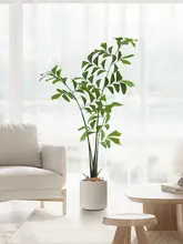 フィンボルギア 偽植物 リビング装飾品 高品質 グリーン植物 室内利用に適しています