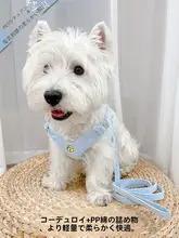 猫用・犬用ハーネスリード【逃げ防止・胸部タイプ】