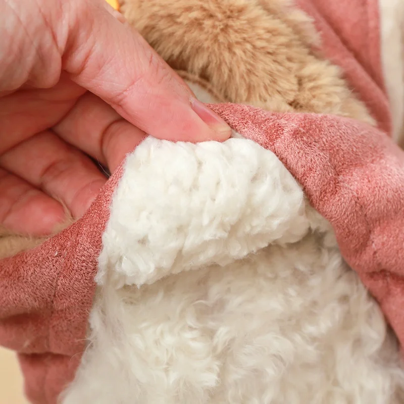 わんこ服をどう選ぶ？冬の寒さに負けない、小型犬にぴったりの「高保温・柔らかい綿素材」衣類がおすすめ