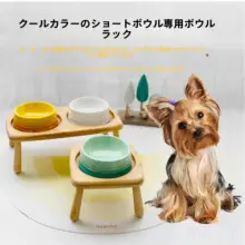 色鮮やかな陶器製ペットボウル【防倒れ設計・猫用・犬用・浅型】