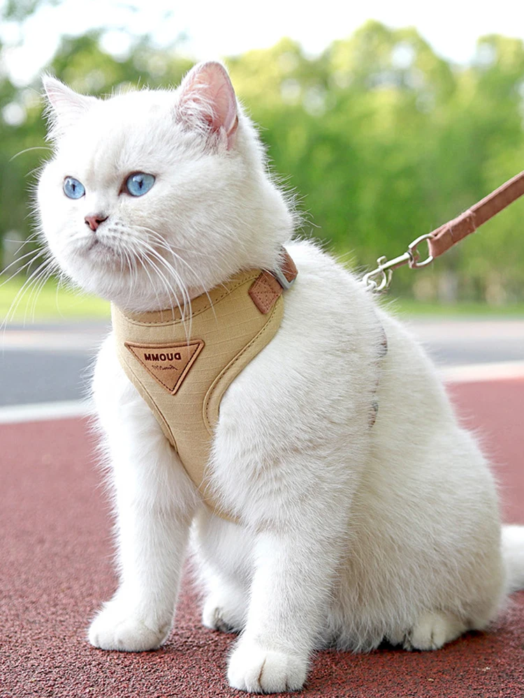 猫飼いが買ってよかったもの・悪かったもの正直に言う｜猫用ハーネス胸付けタイプの実用性と設計原理
