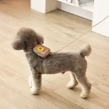 小型犬用牽引リード【ペット用・テディ・アウトドア・胸部ハーネス】