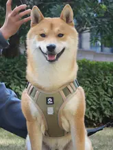 調節可能な中型・大型犬用ハーネス付きリード【ゴールデンレトリバー・ラブラドール対応】