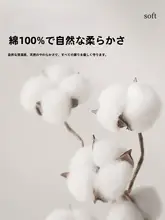 純綿四点セット【大学生向け・宿舎用・ベッドリネン】（セットアップ対応）