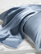 贅沢な40匁 本真 silk 枕カバー【100% 絹使用・シングル仕様・美容効果】