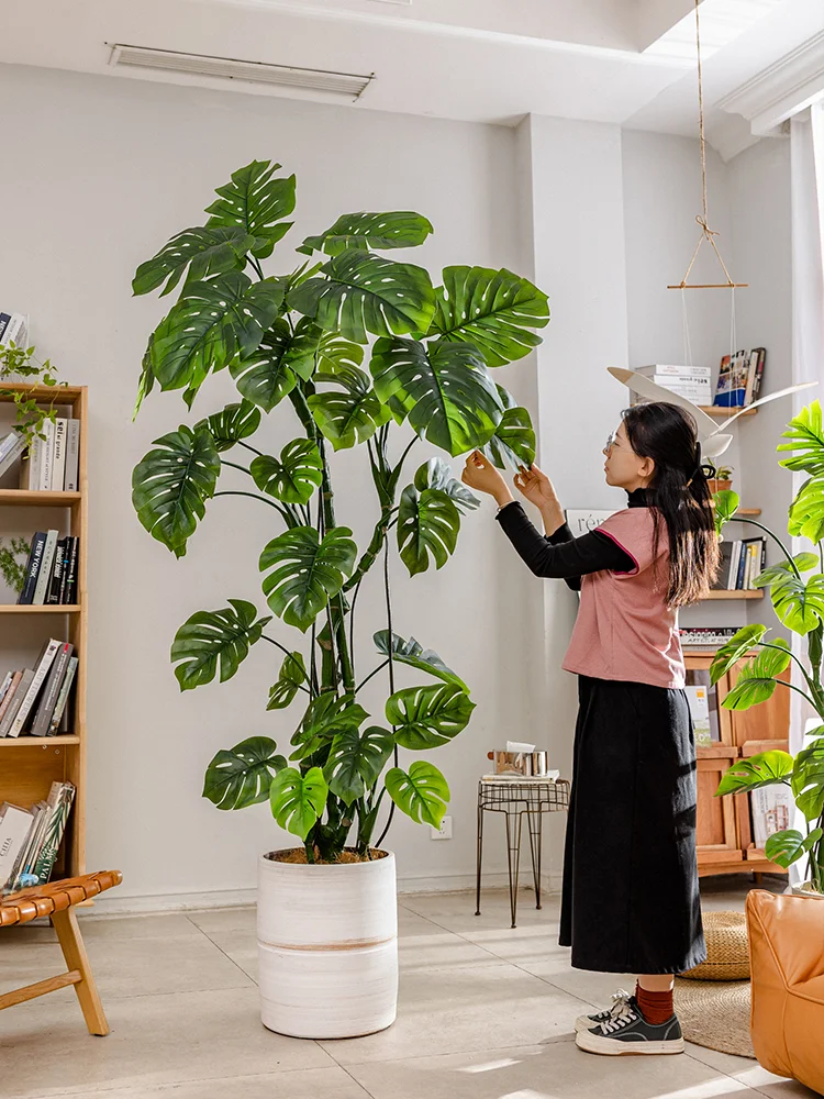 揃えるミニマリスト部屋づくりアイテム | 大型モンステラ植木鉢のサイズと土壌特性
