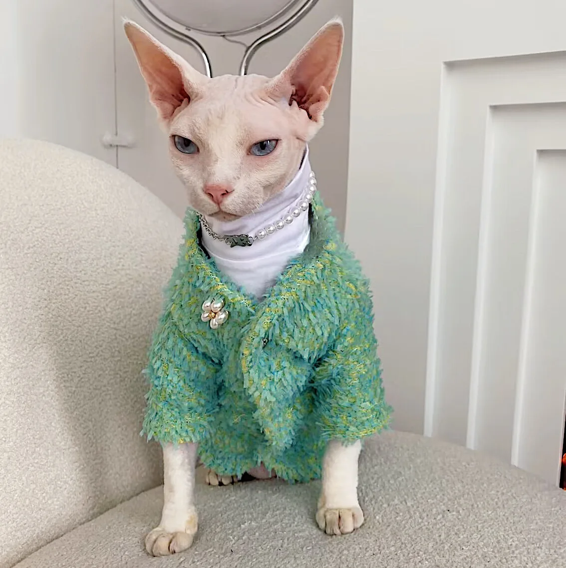 SPHYNXPLANET スフィンクス猫用秋冬保温コートの実用性と一人暮らしに適した使い方