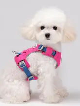 軽量化ペット用犬用ハーネスリード【小中大型犬対応・胸部サポート】
