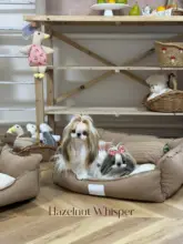 防水ペットベッド【洗える・クッション付き・猫と犬用】