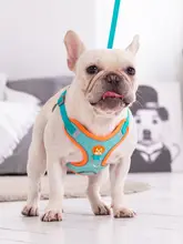 調節可能なハーネス付きリード【中小型犬用・フレンチブルドッグ・パグ・テディベア散歩用】