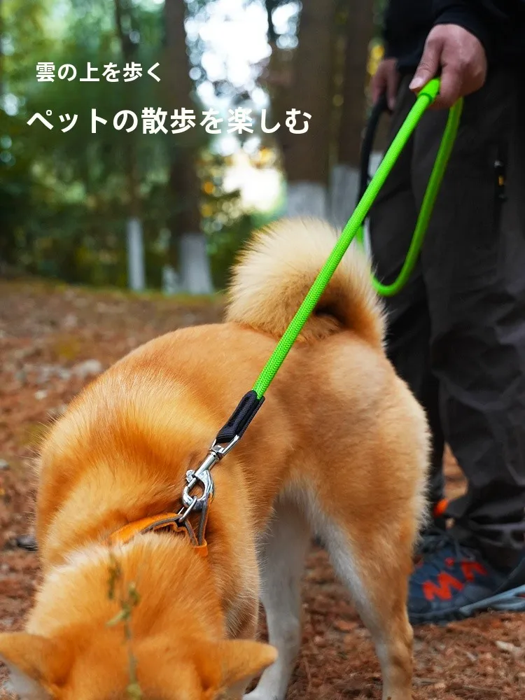 防爆仕様の犬用リード：衝撃耐性と脱走防止が実現される実用性の証