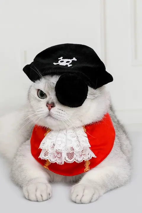 ペットコスプレ 猫用 3点セット 海賊風 帽子 アイパッチ バンダナ ハロウィン 撮影用小物 ユニーク
