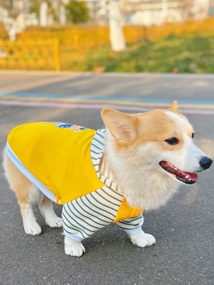 中型犬用フード付きペットウェア【春用・快適な着心地】の選び方と実用性