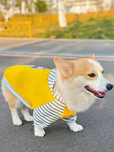 中型犬用 フード付きペットウェア【春用・快適な着心地】（セットアップ対応）