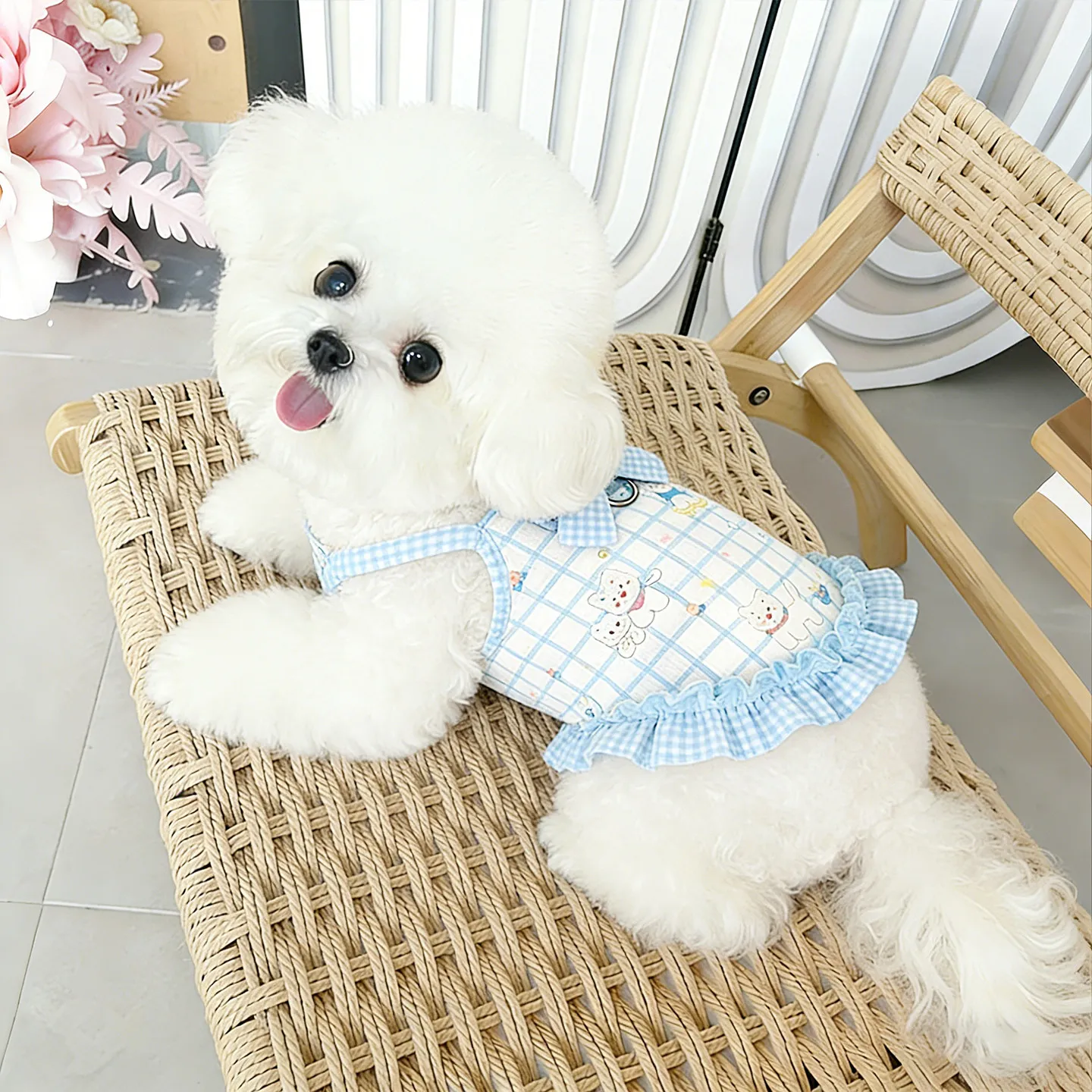 小型犬用夏用薄手ドッグドレス【涼感・快適・通気性】の実用性と選び方