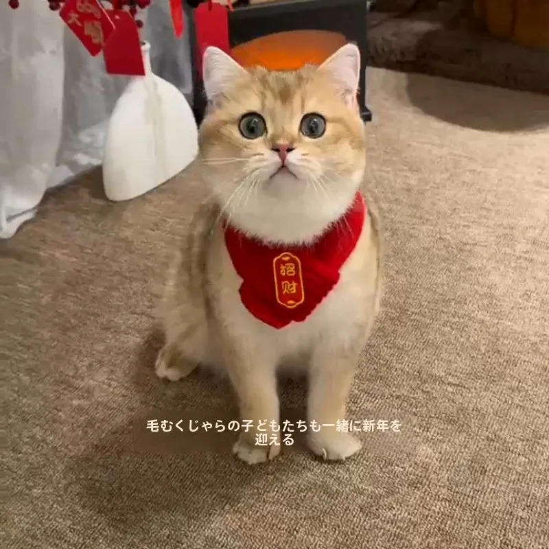 暖かい中国風ペット用赤いスカーフは猫や犬の新年飾りに最適か？