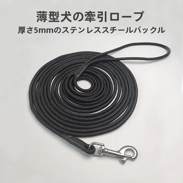 犬のお散歩グッズをコスパ良く揃える方法　完全ガイド