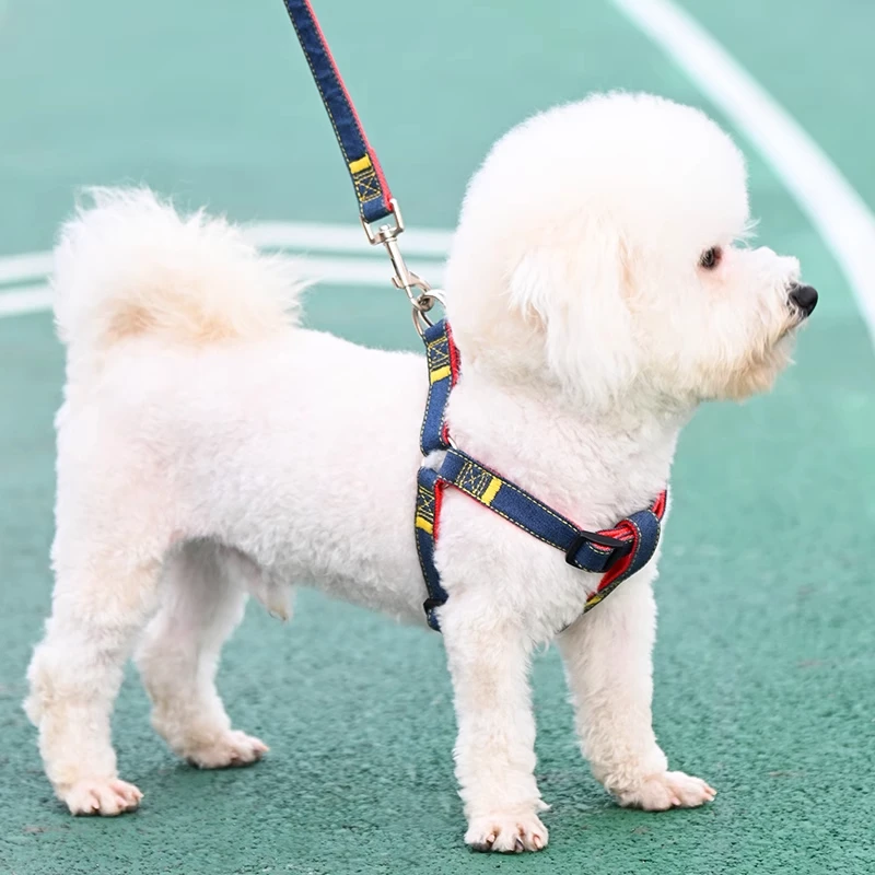 犬用リード：大型・中型・小型犬対応の高品質ペット用品の実用性と使い方