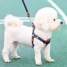犬用リード【大型・中型・小型犬対応・ペット用品】