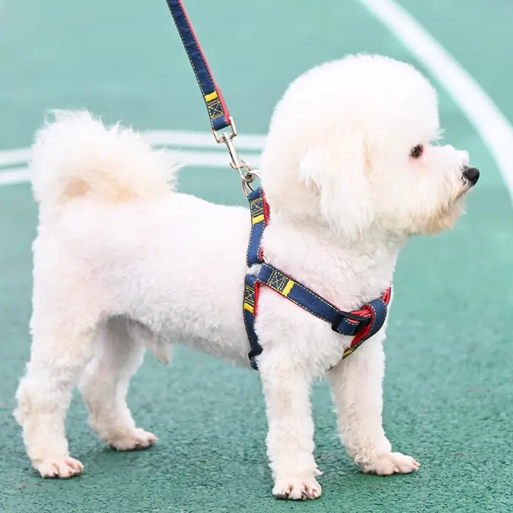 犬用リード【大型・中型・小型犬対応・ペット用品】