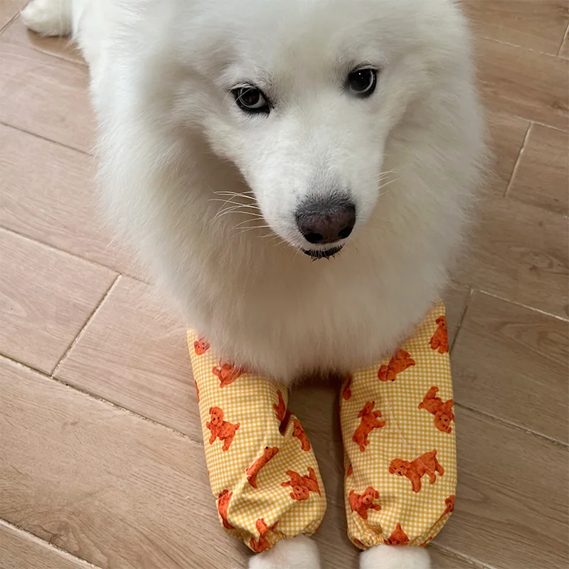 犬用外出保護カバー：中大型犬向けの防塵・肘・膝関節保護機能を実証