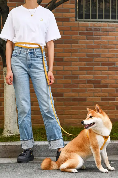調節可能な犬用リード【ショルダー・クロスボディ・2匹用・中型犬・小型犬対応】