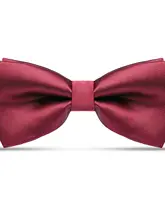 酒紅色の蝶ネクタイ【ウェディング・フォーマル用・男性用・二重構造】（セットアップ対応）