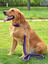 大型犬用伸縮式犬用首輪とリード【コーギー・迷子防止・安全設計】