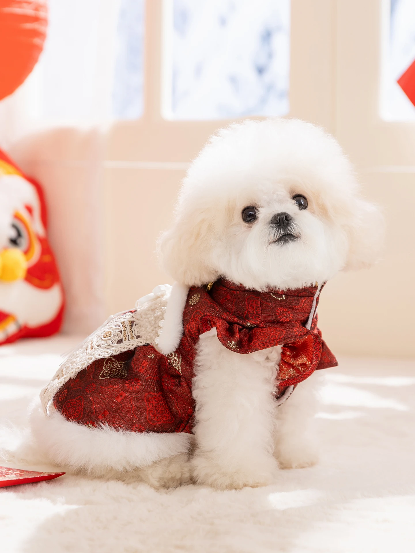 hipidog 冬用犬服：華やか唐装デザインで小型犬の寒さ対策を実現
