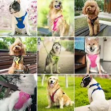 大きい犬用ハーネス型リード【防止脱走・散歩用】