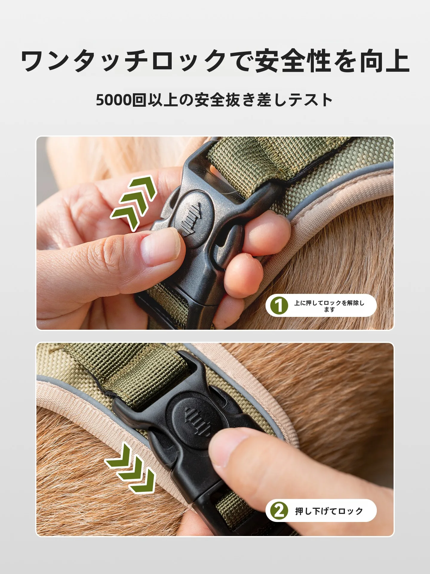 中型犬用ハーネスとリードセット：胸部サポートと耐久性を両立した実用性の評価
