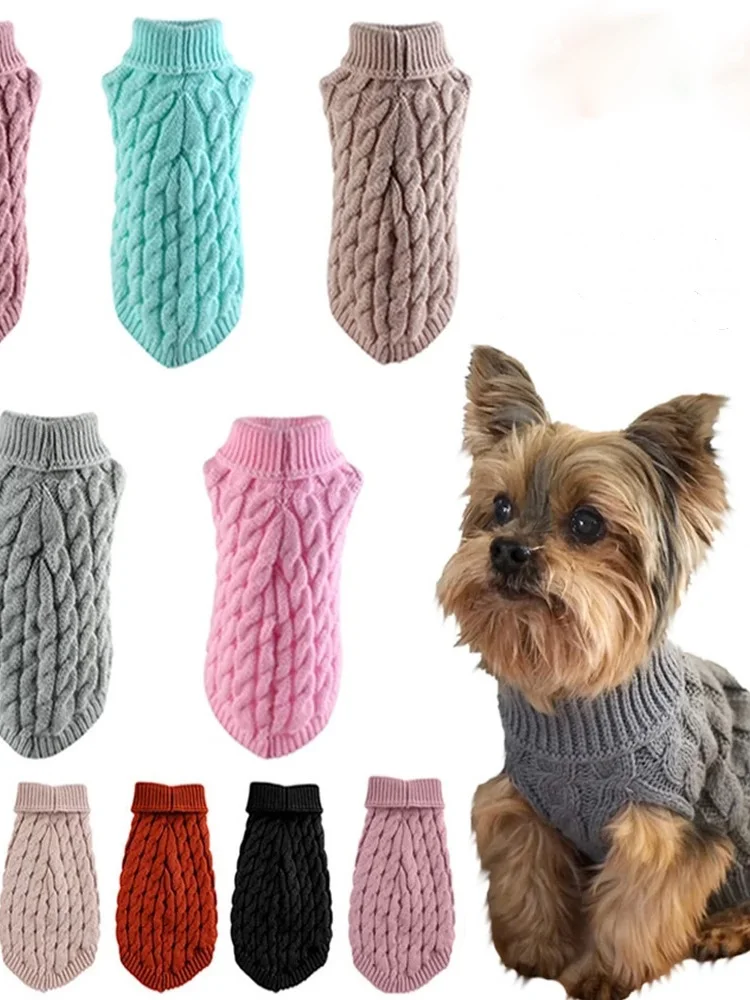 犬のお散歩グッズをコスパ良く揃える方法　完全ガイド