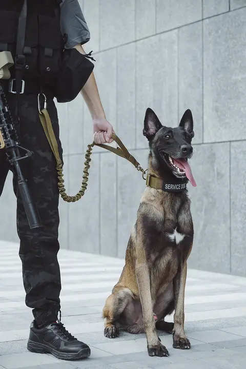 犬用短型トレーニングリード【二重リング・グリップ付き】