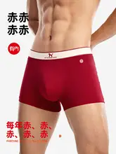 純綿抗菌素材の赤いボクサーブリーフ【おすすめ・マ年対応・快適なフィット感】（セットアップ対応）