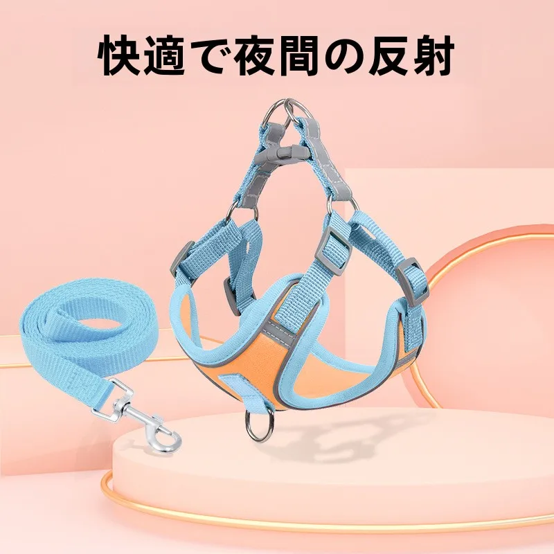 犬のお散歩グッズをコスパ良く揃える方法　完全ガイド