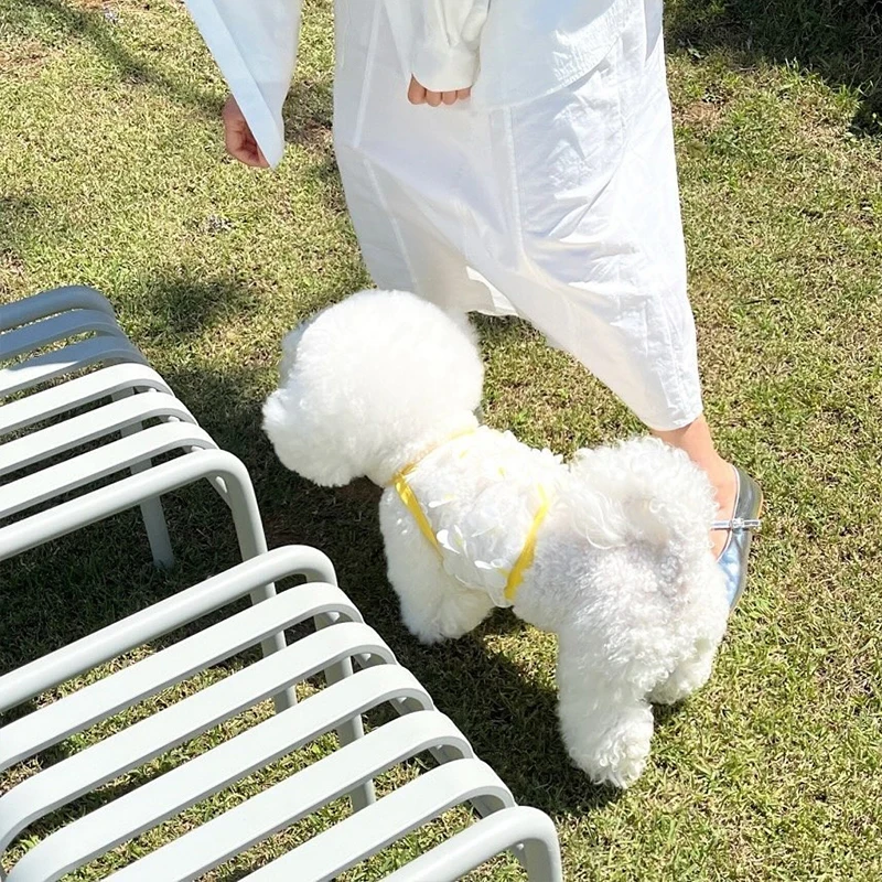 春夏立体蝶妖精空気サスペンダーペット服：通気性とデザインのバランスを実現