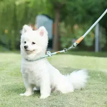 犬用リード【小型犬・中型犬用・耐久性・カラフルデザイン】