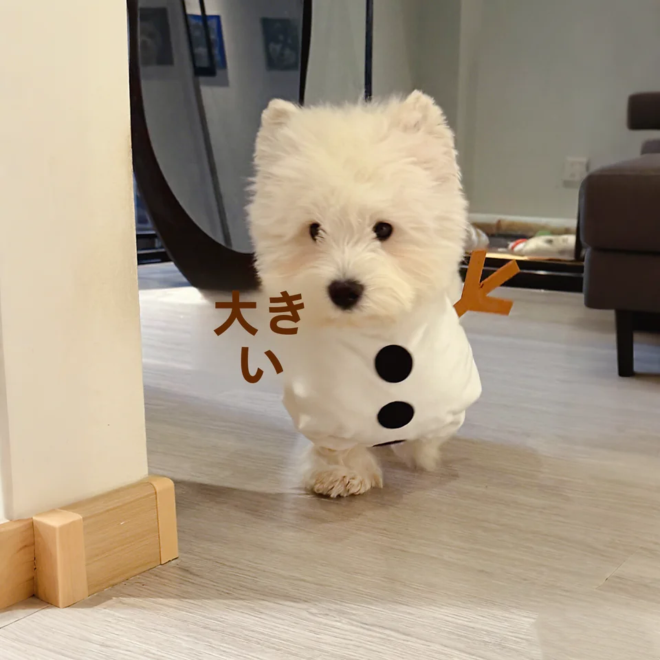 冬用ペット用雪人デザインウェア【保温・小型犬・猫用・極上の柔らかさ】