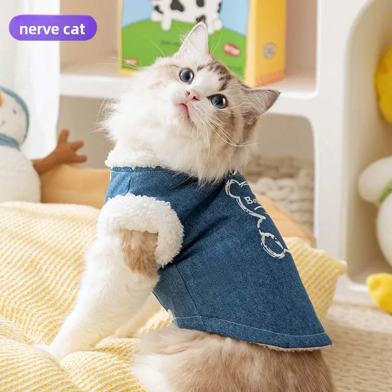 わんこ服で悩むなら、この1着が本当に“通気性”と“おしゃれ”を両立できる？