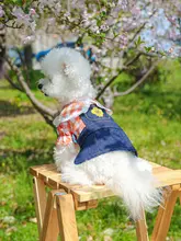 デニムサロペットワンピース【犬猫用・夏用・プリンセススタイル】（セットアップ対応）