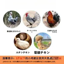 ペット用通気性ハーネス【チキンリード・トレーニング用】
