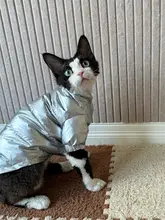 HOiii PET 冬用太空銀中綿ジャケット【厚手・暖かい・デヴォン猫用】