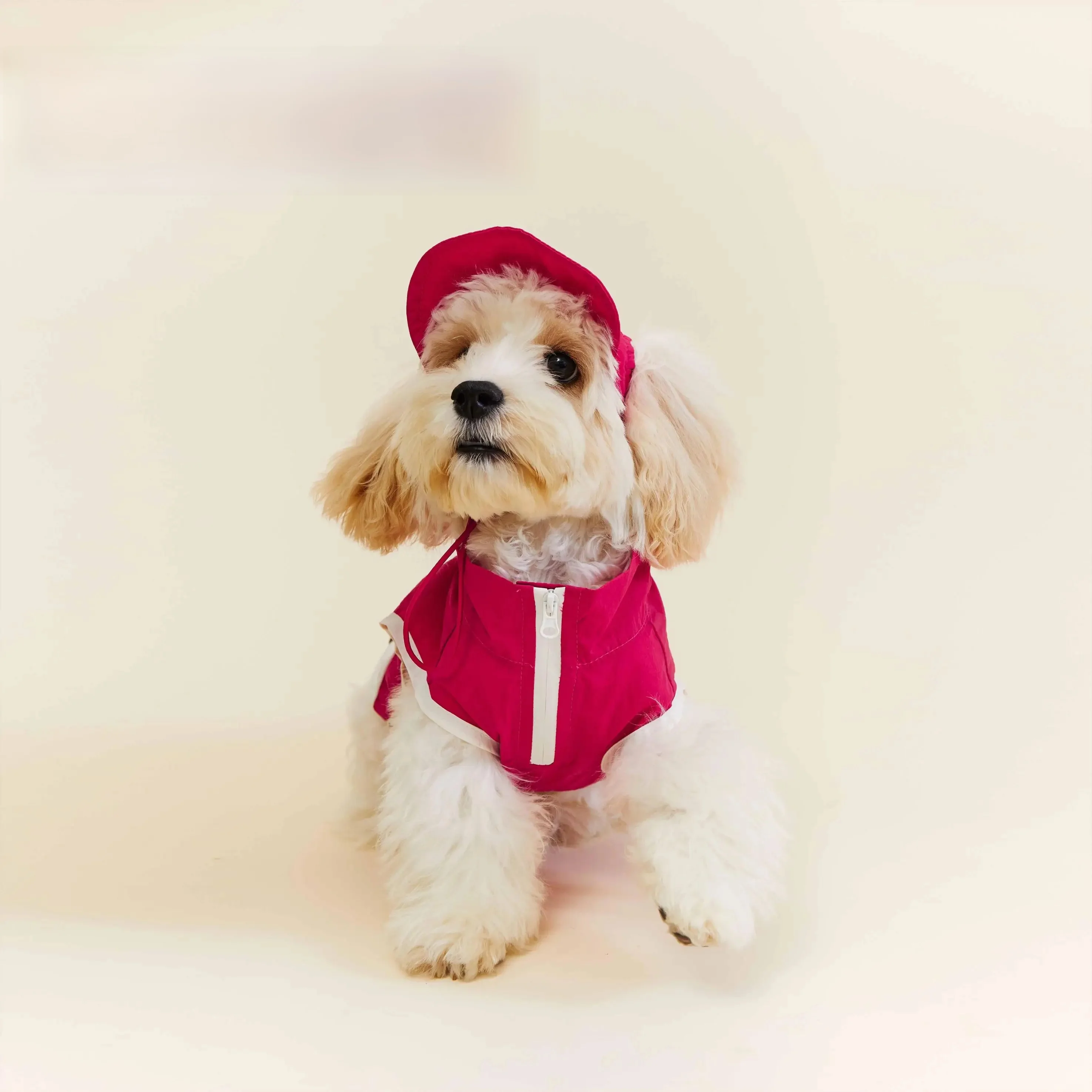 犬のアウトドアで日焼けを気にしない方法は？